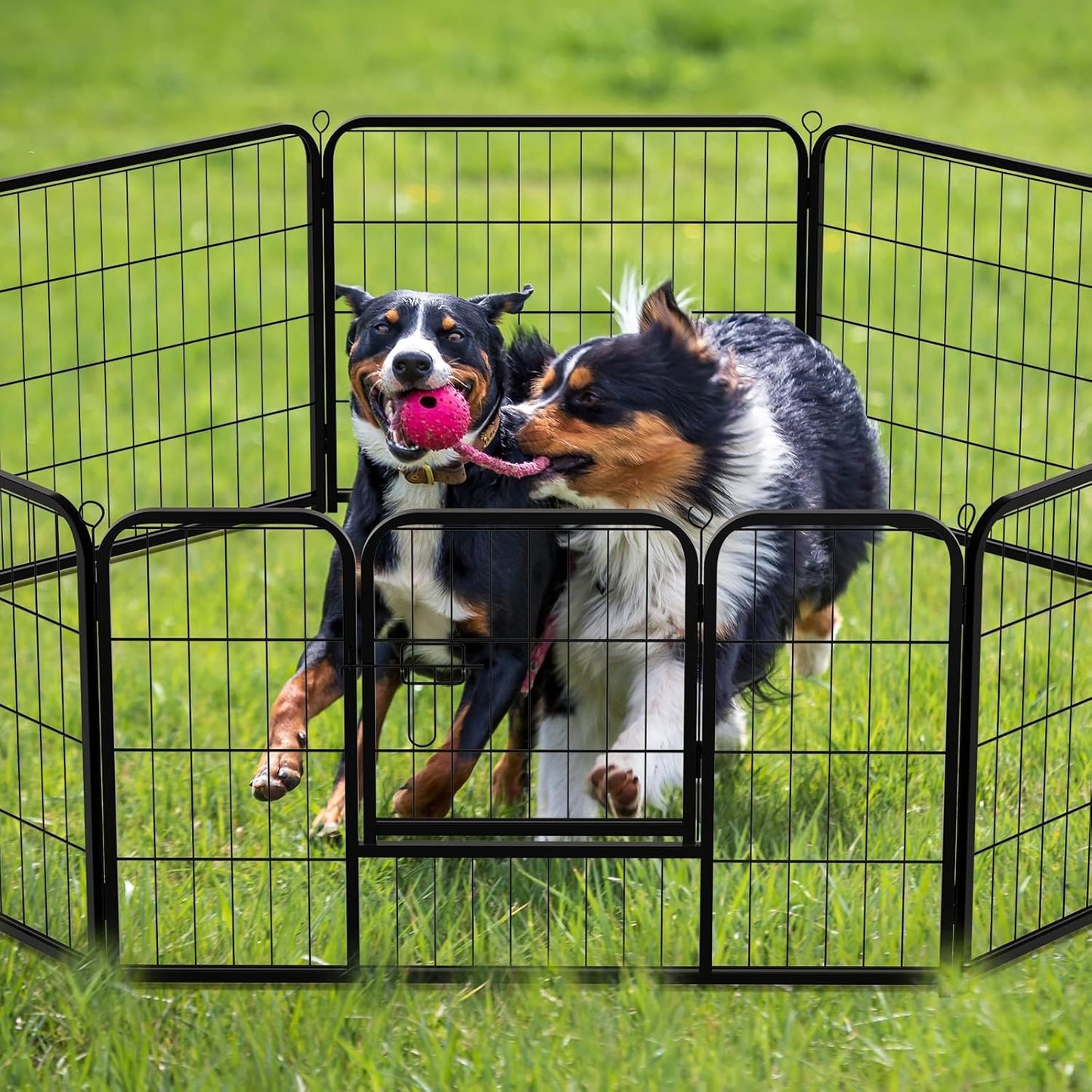 NEWBULIG Dog Playpen 8 Panels 32" Height Foldable Heavy Duty Metal Dog Exercise Playpen Puppy Fence for Indoor Outdoor Yard