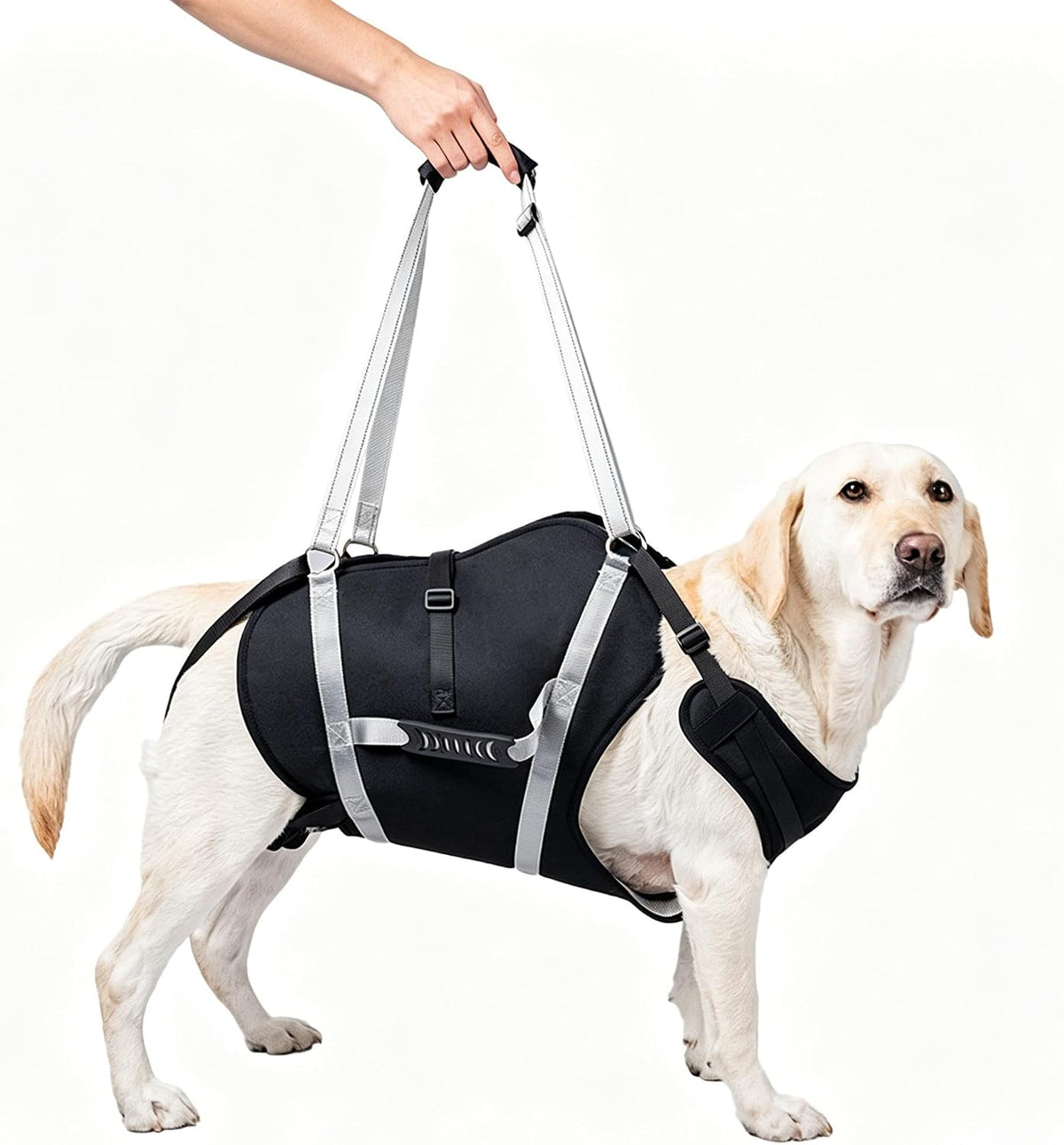 Waterproof Dog Lift Harness for 66-105 Lb Dogs, Dog Sling with Handles