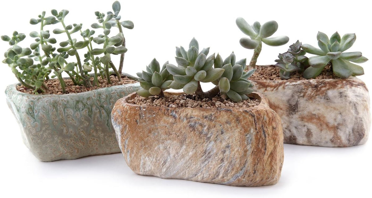 T4U 5.5 Inch Ceramic Succulent Pot Planter with Drainage Hole Set of 3, Stone Shape Rectangle Window Box Cactus Plant Containers Gift for Mom Sister Aunt Best for Home Office Table Desk Decoration