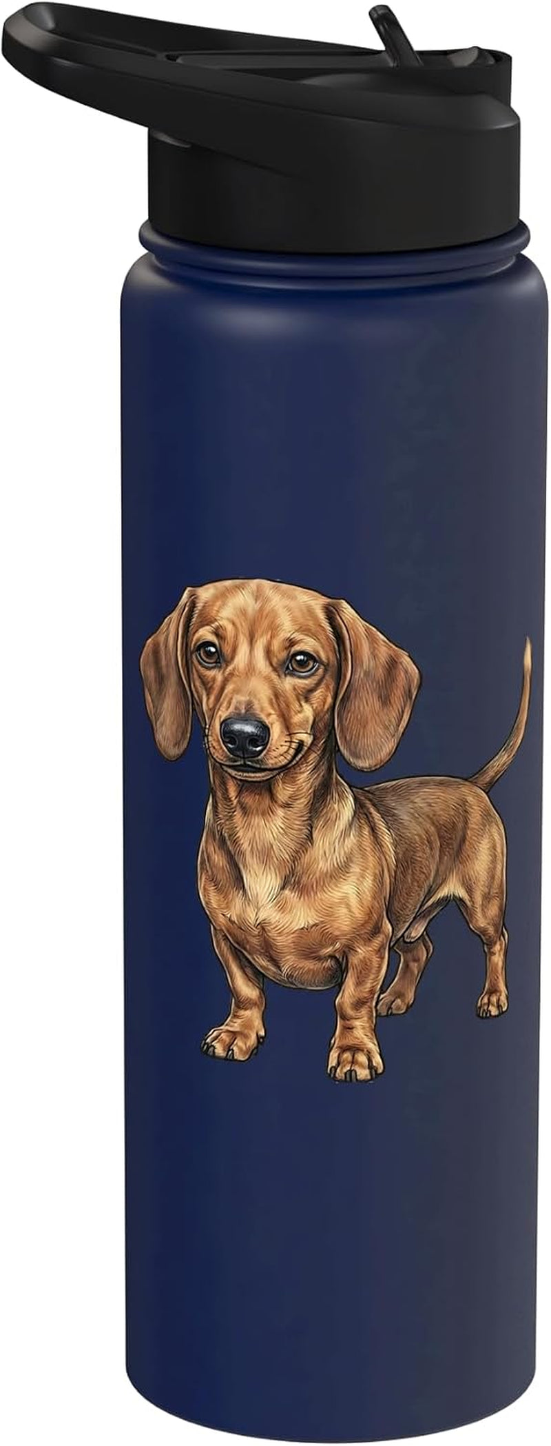 Dachshund Brown Wiener Dog Lover Weenie Stainless Steel Insulated Water Bottle
