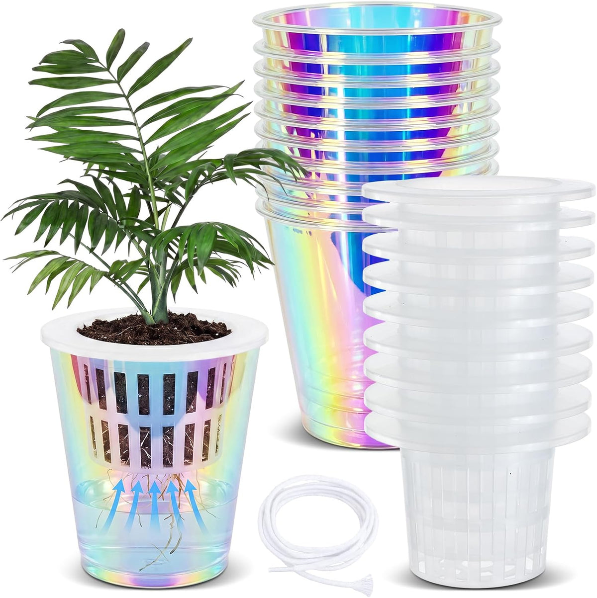 10 Pack Iridescent Clear Self-Watering Pots for Indoor Plants