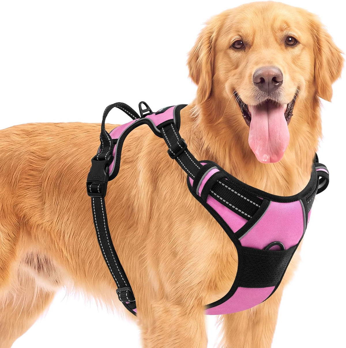 BARKBAY Dog Harness for Large Dog No Pull 2 Leash Clips Dog Vest