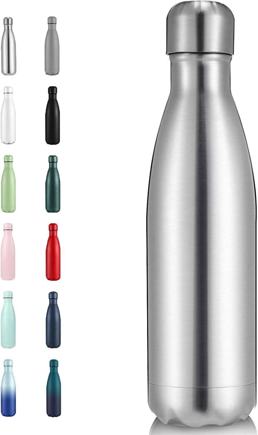 Volhoply 17Oz Insulated Stainless Steel Water Bottle(Silver,1 Pack)