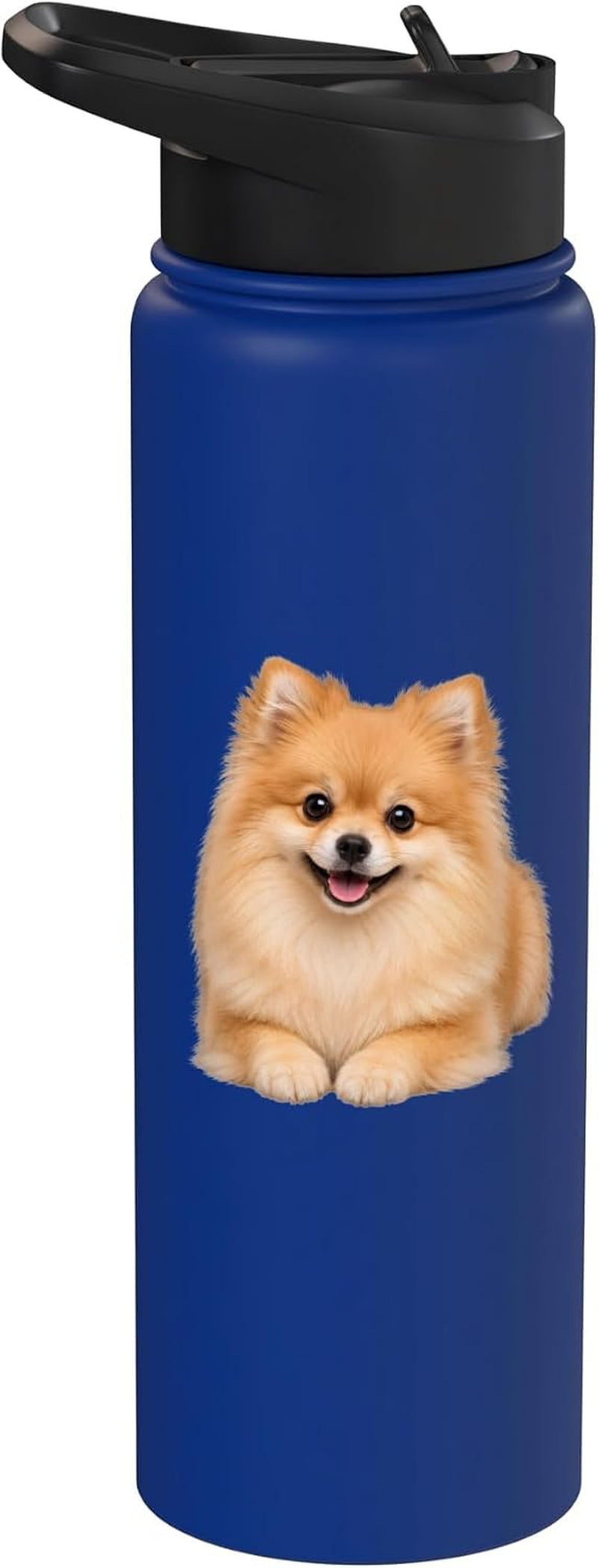 Pomeranian Dog Lover Cute Puppy Stainless Steel Insulated Water Bottle