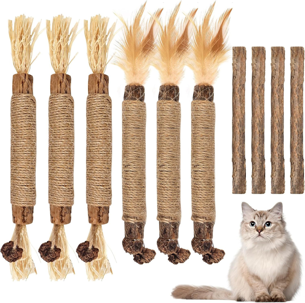 Bissap 10PCS Silvervine Catnip Chew Sticks, Interactive Toy for Cat Kitten