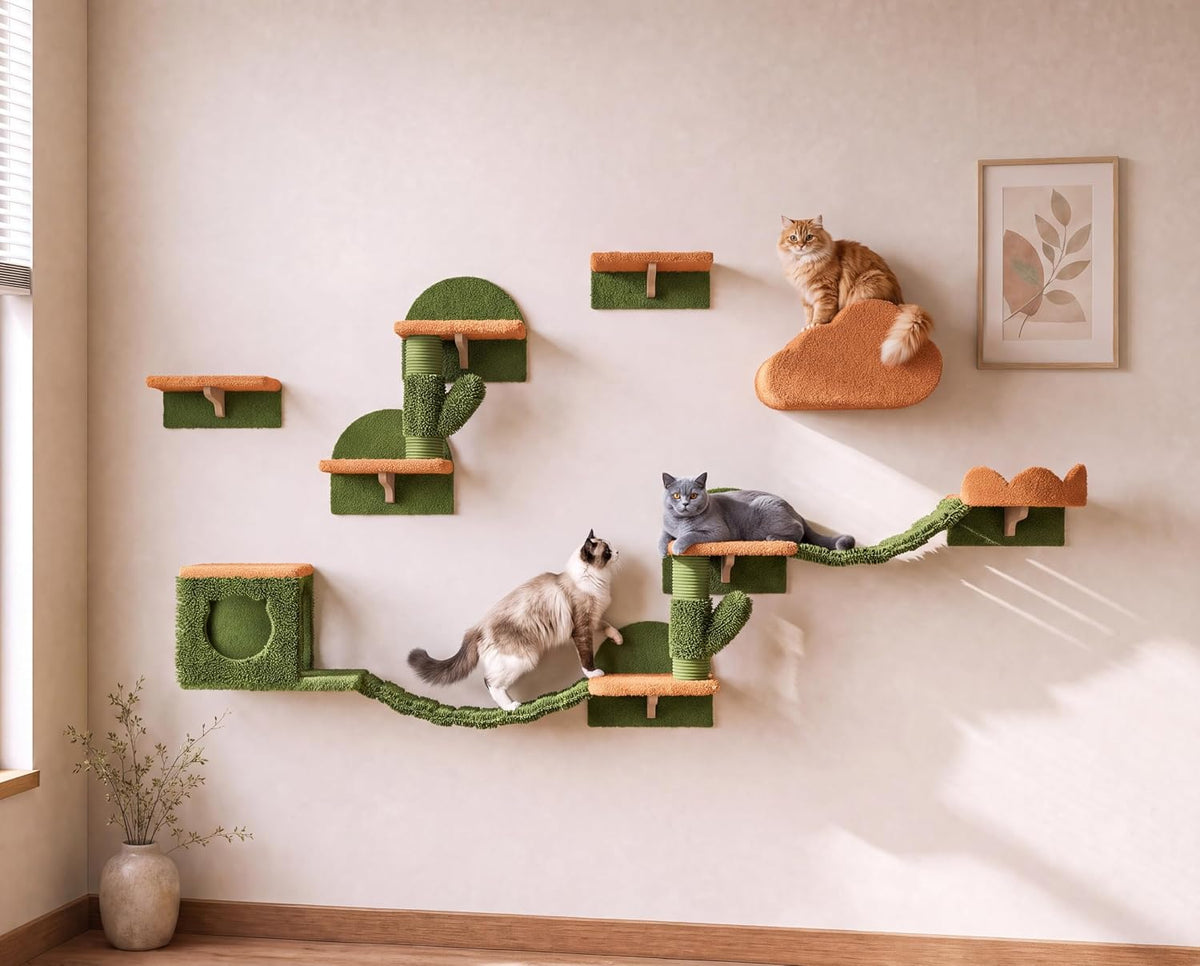Cactus Cat Shelves for Wall, 13-In-1 Cat Wall Shelf, Cactus Green