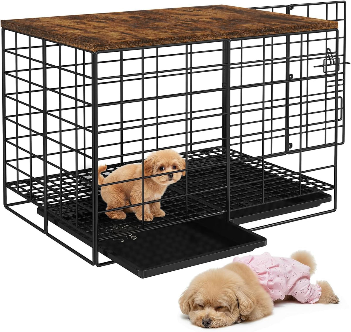 24 Inch Small Dog Crate, Dog Cage for Small Dogs & Puppies under 20 Lbs