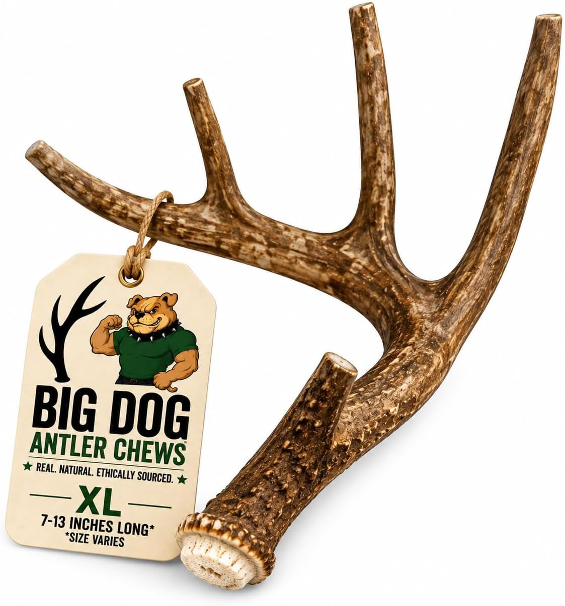 XL Deer Antler Dog Chew - Extra Large, Jumbo, for Large Dogs and Puppies Who Are Aggressive Chewers