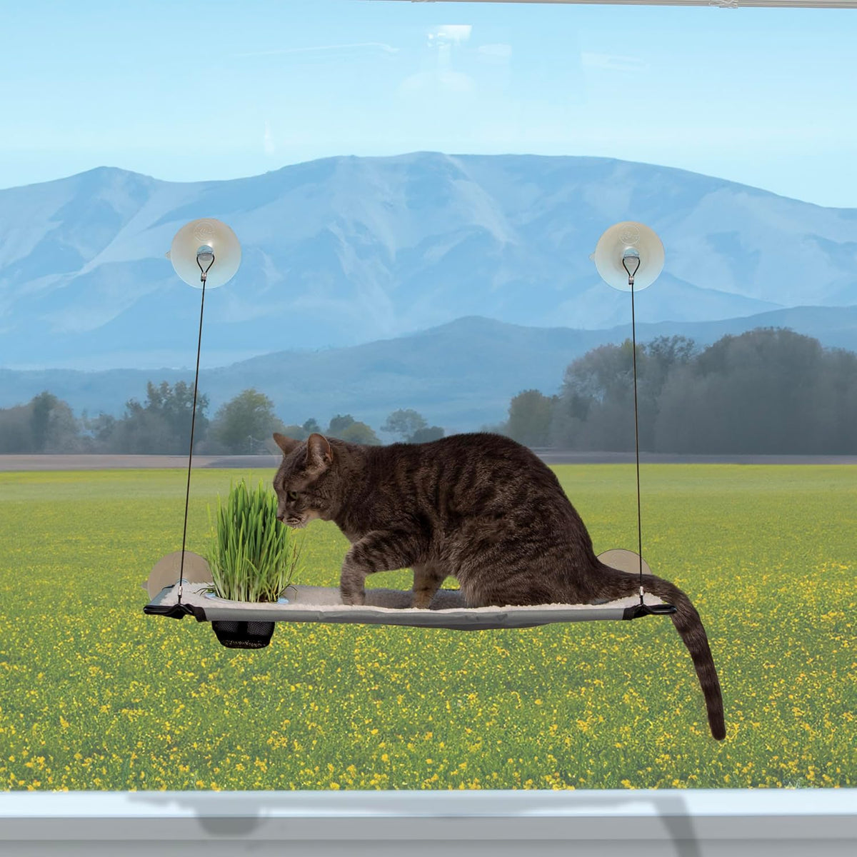 K&H Cat Window Perch, Window Lounger with Oat Grass Grow Station - 23X12In