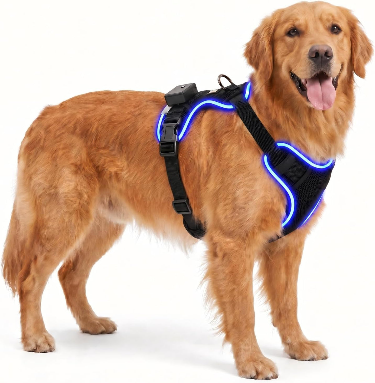 Light up Dog Harness, No-Pull Led Dog Harness Rechargeable, Glow in the Dark, LED Dog Vest Reflective, Adjustable & Comfort Padded Lighted Dog Harness for Safety Night Walking (Extra Large)
