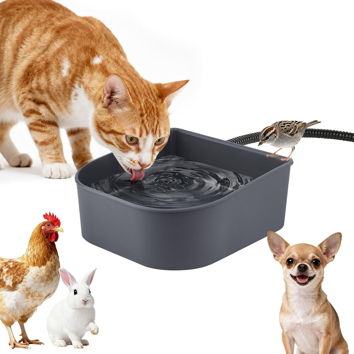 Heated Water Bowl for Cats Rabbits, Hanging Dog Heating Dish for Cage Kennel Anti-Freeze, No Spill Heated Bowl for Rabbits Chickens Birds Small Animals, Indoor/Outdoor Use, 1L