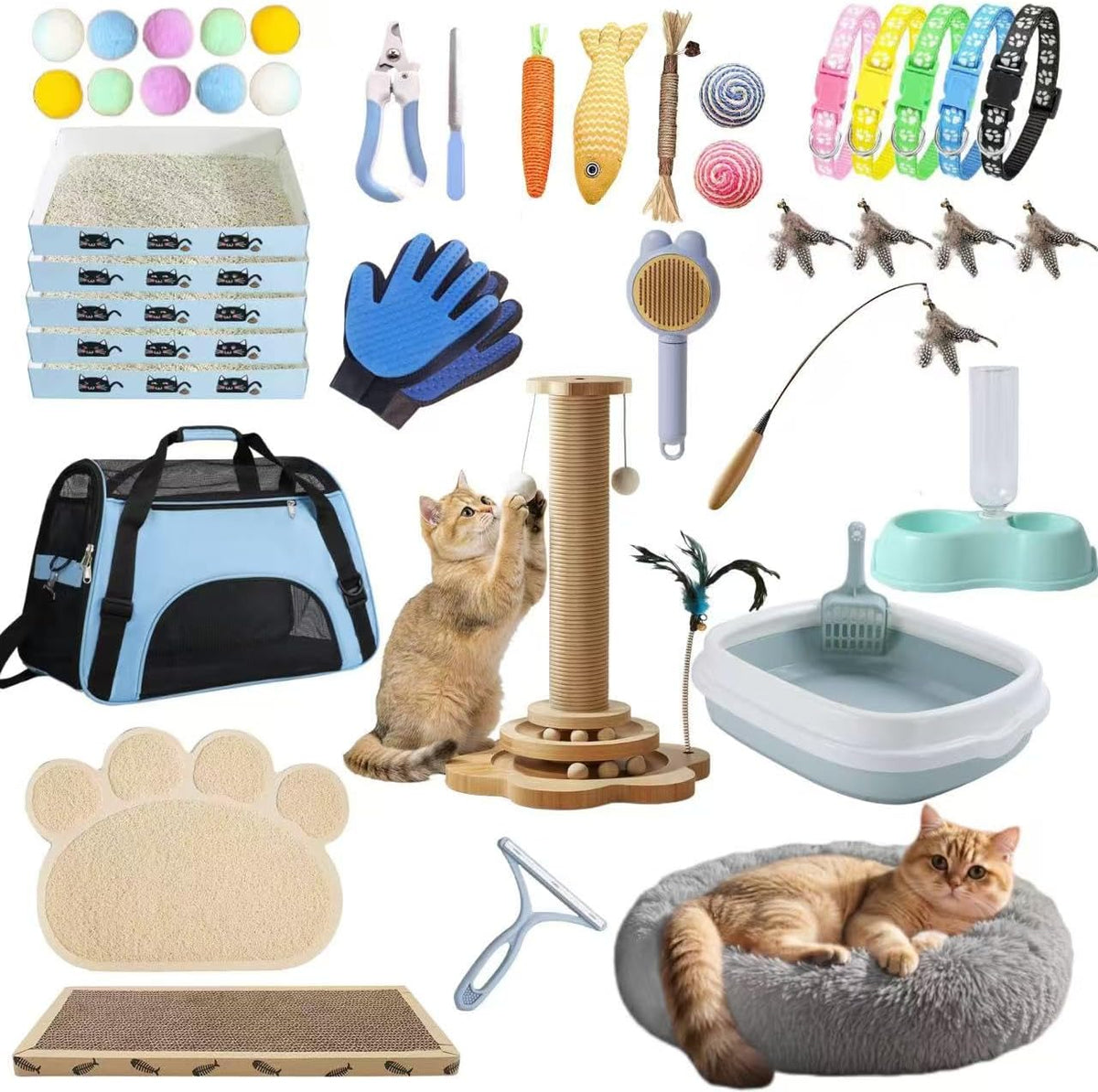 Kitten Starter Kit - 45 Pcs of Cat Essentials