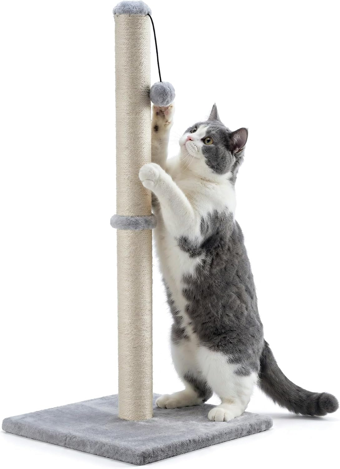 Dimaka 34" Tall Cat Scratching Post for Large Cats and Kittens, High Vertical Scratcher with Premium Natural Sisal Rope and Interactive Hanging Ball for Indoor Cat(Grey, 34 Inches for Large Cats)