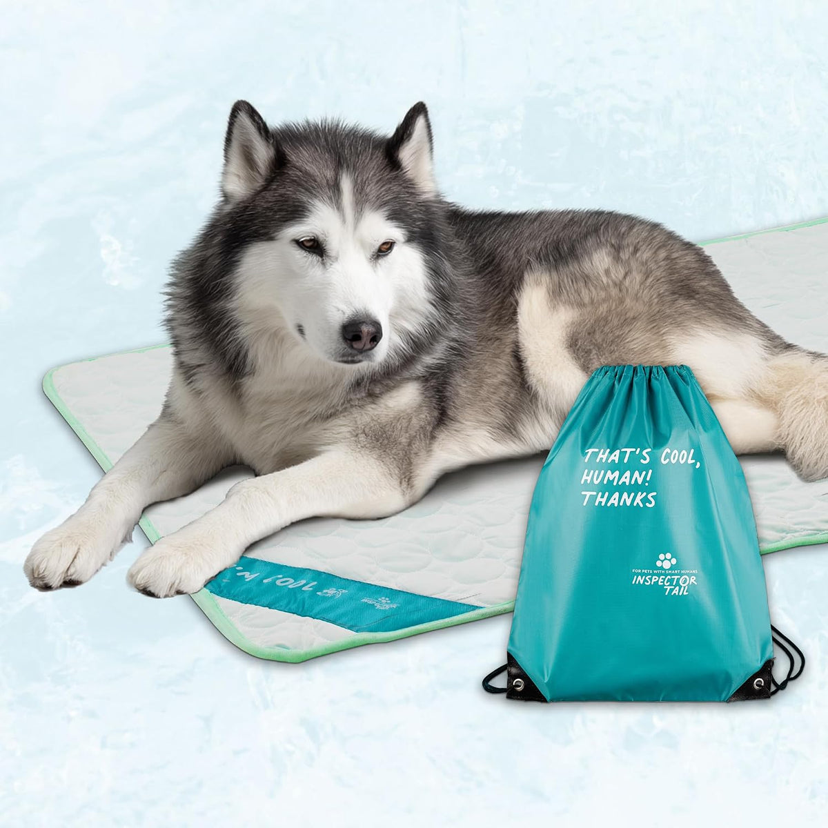 INSPECTOR TAIL Dog Cooling Mat Indoor & Outdoor with Ice Silk, XL Pet Pad
