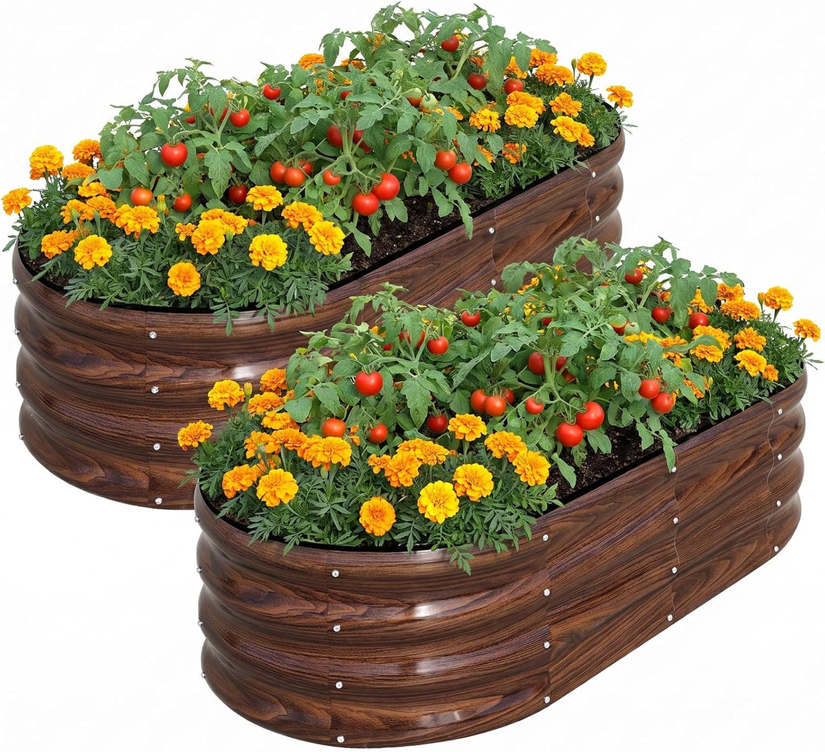 Snugniture Raised Garden Bed Outdoor 4X2X1Ft, 2 Pack