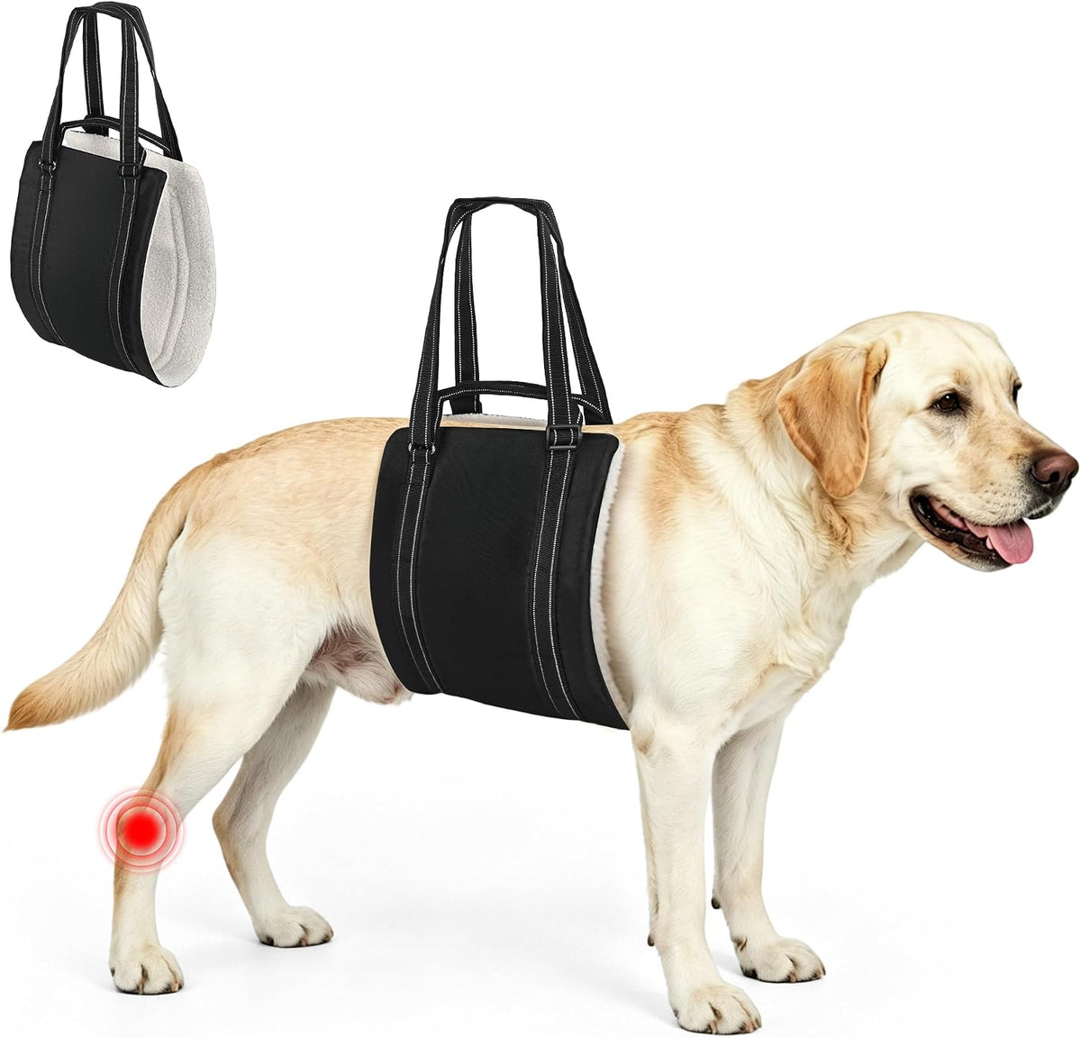 Adjustable Dog Lift Harness for Large & Medium Sized Dogs, Heavy Duty Support Sling with Dual Handles for Stairs,Cars,Walking, Plush Padded Mobility Aid for Senior Dogs (Black, M)