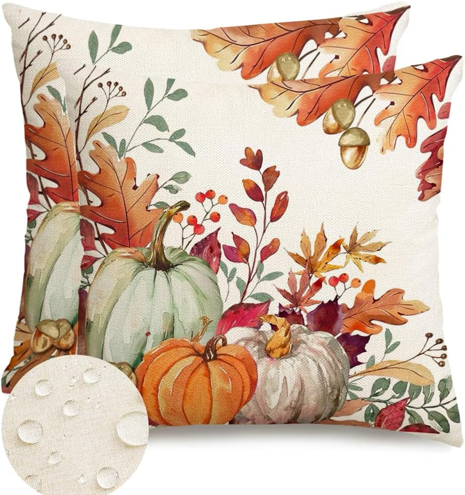 RABUSOFA Fall Outdoor Pillow Covers 18X18 Set of 2 Waterproof Pumpkin Decor