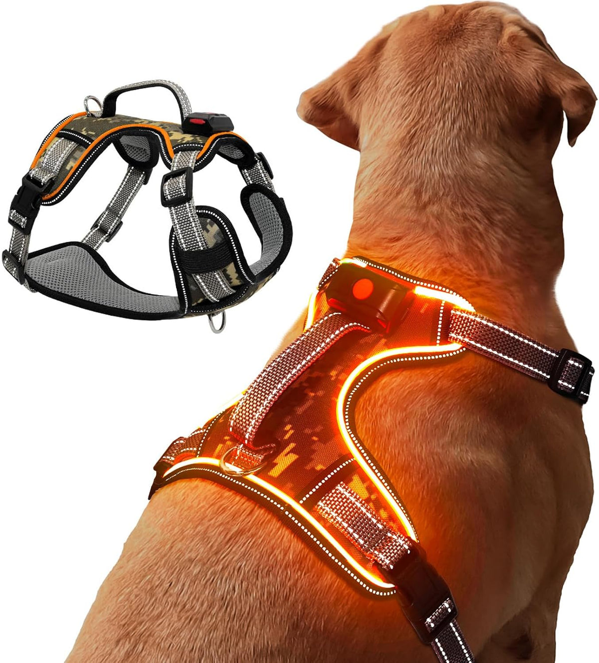 LED Dog Harness, Lighted Harness for Night Walking (Orange, XL)