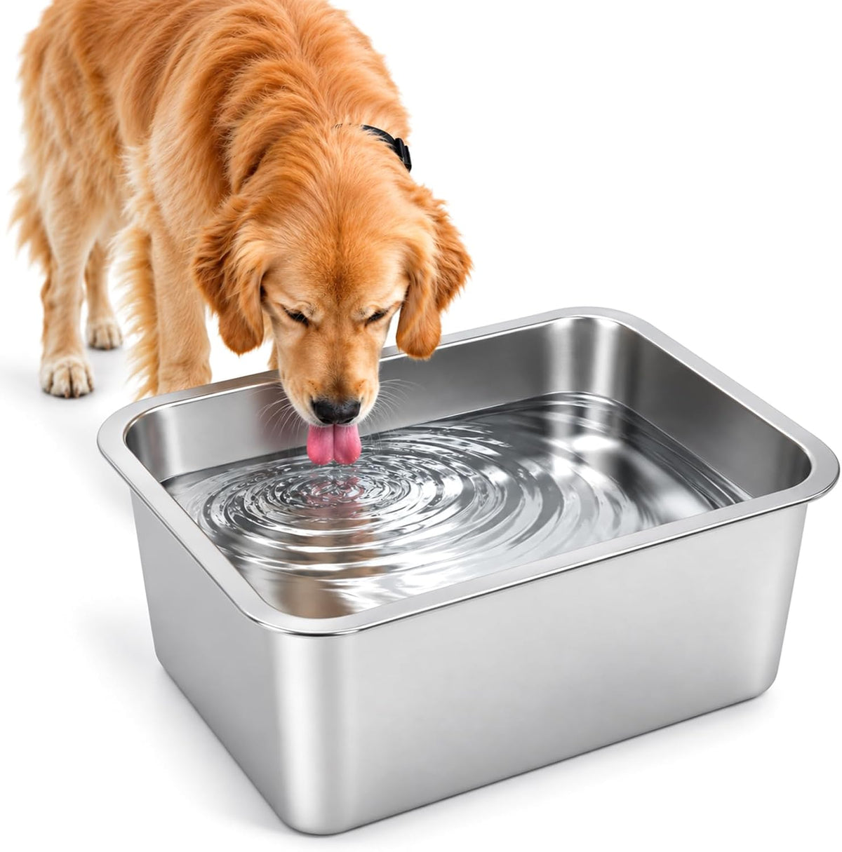 3 Gallon Large Dog Water Bowl, Stainless Steel Bowl, Giant Dogs