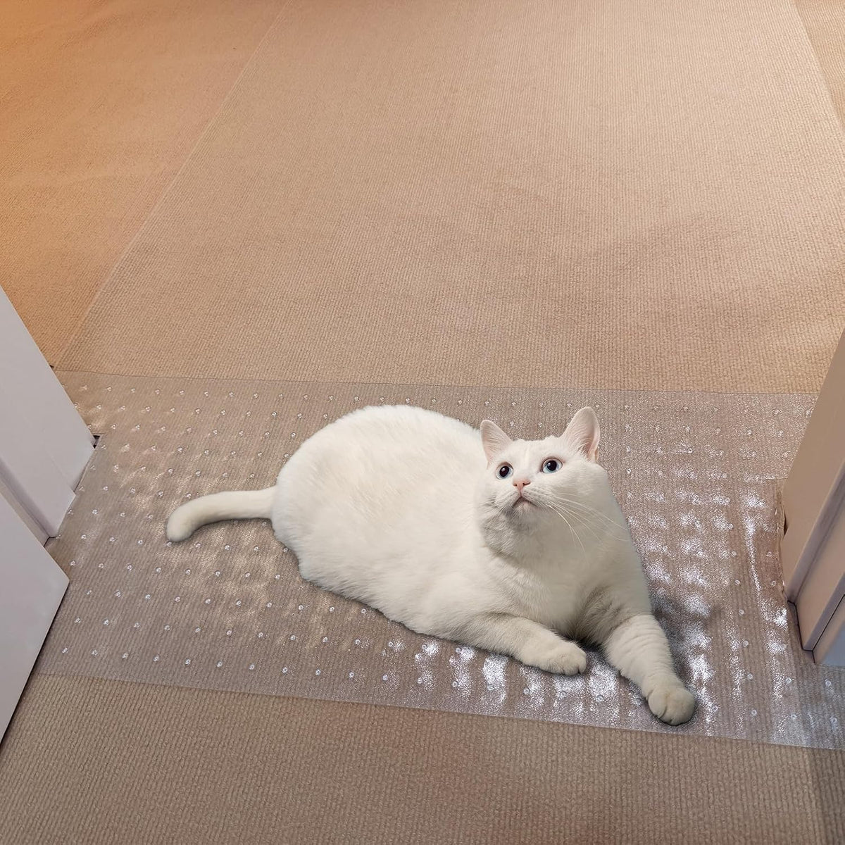 Carpet Protector for Pets Cat Scratch Carpet Protector Easy to Cut Plastic Mat for Carpet anti Scratch under Door Mat Carpet Scratch Stopper from Cat Dog Scratching 3.6FT (Clear, 2Pcs)