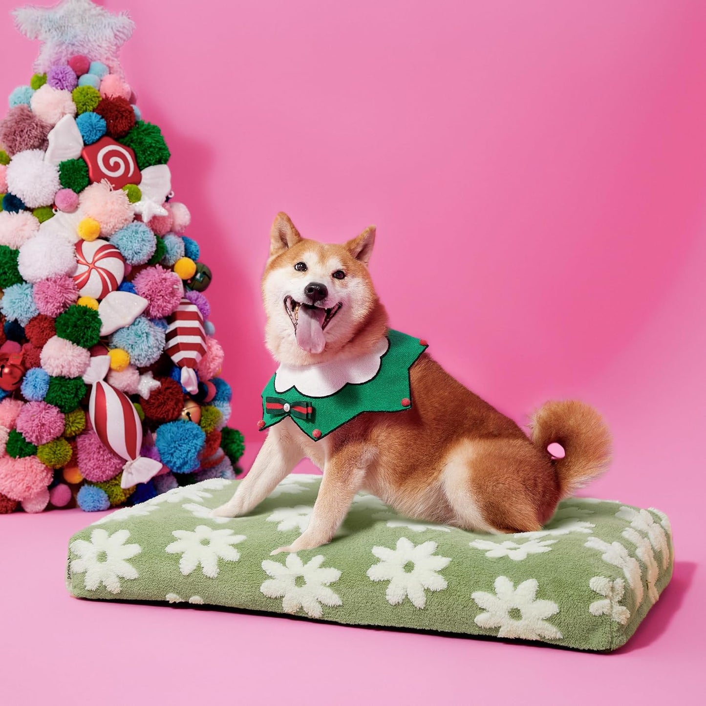 LE SURE Dog Beds Large Sized-Thick Shredded Chopped Foam Pet Bed Indoor as Bed Gift with Removable Cover, Cute Modern Fuzzy Plush & anti Slip Bottom, Green