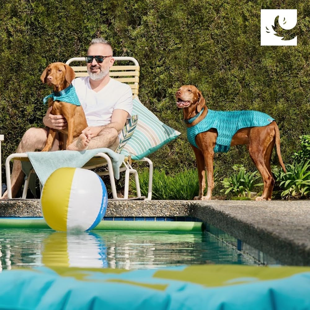 RC Pet Products Zephyr Cooling Vest, Extra Extra Small, Aqua (X-Large, Aqua)