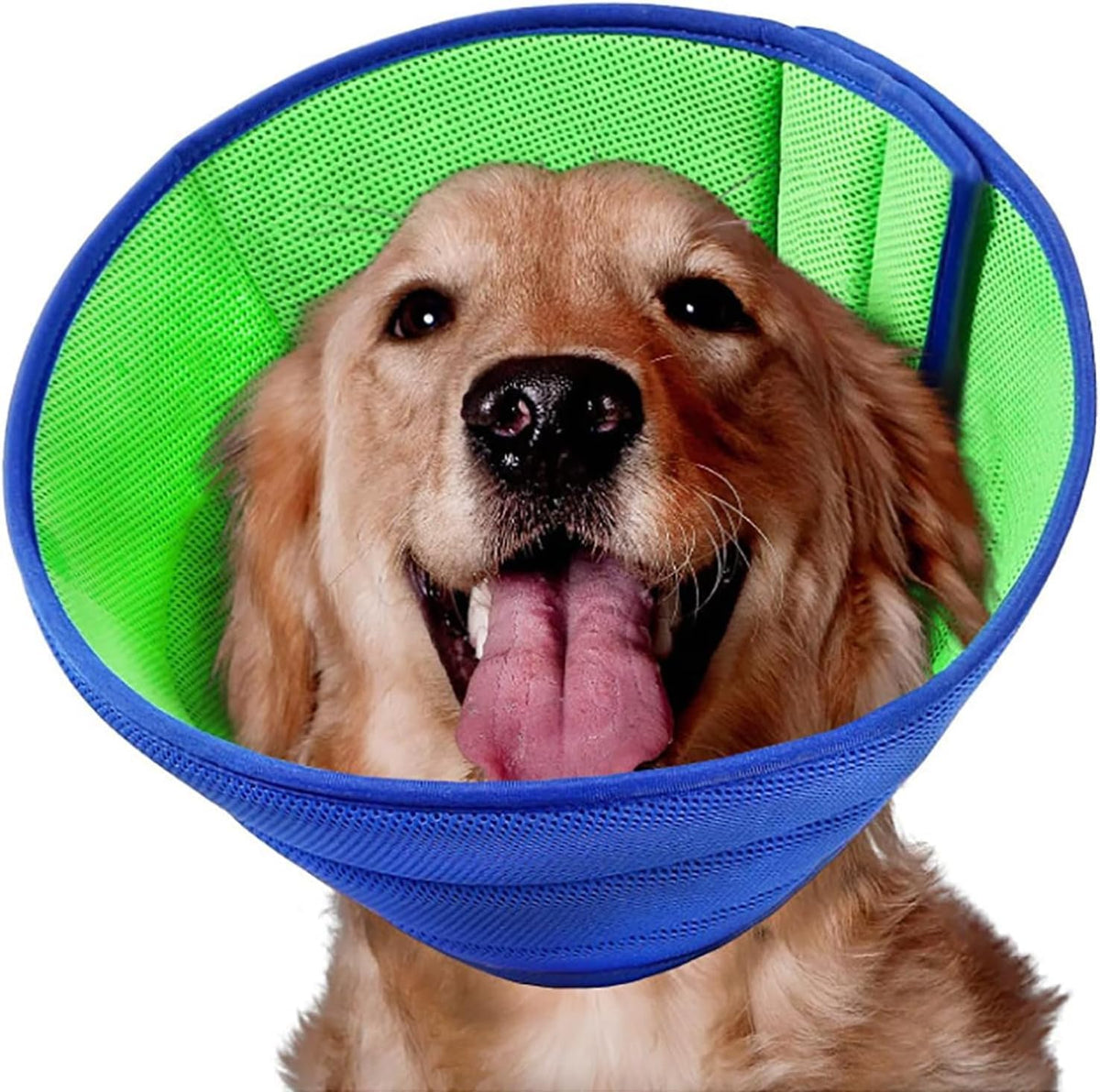 Soft Dog Cone Recovery Collars & Cones after Surgery for Large Dogs