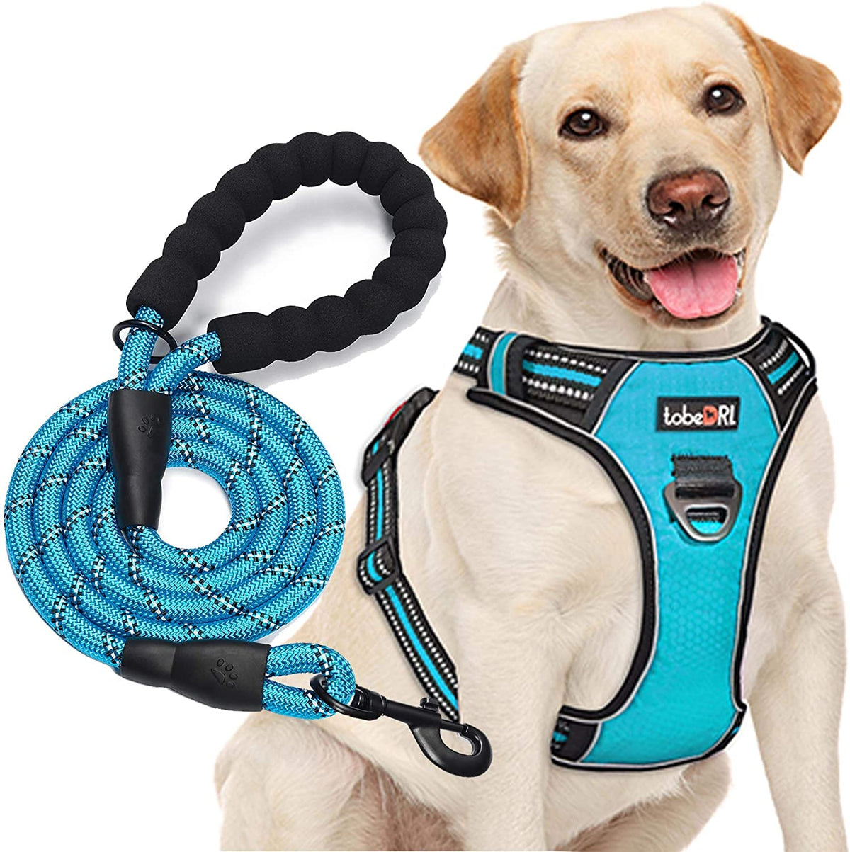 Tobedri No Pull Dog Harness Adjustable Reflective Oxford Easy Control Medium Large Dog Harness with a Free Heavy Duty 5Ft Dog Leash, Blue, L