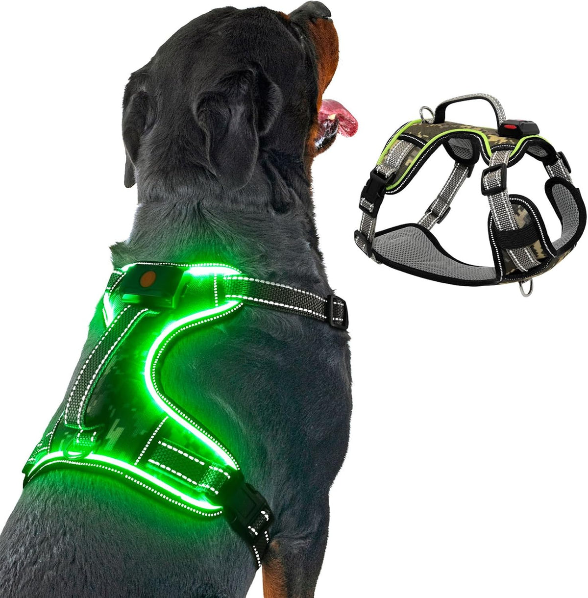 Light up Dog Harness Small Sized Dog for Night Walking (Green, S)