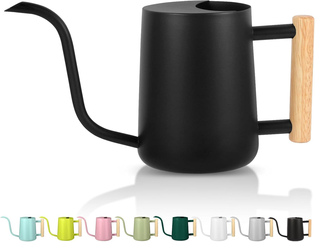 GUKJOB Plant Watering Can,35Oz Metal Watering Can,Stainless Steel Indoor Plants with Long Curved Spout,Small Bonsai Outdoor Garden Modern Decorative(Black)