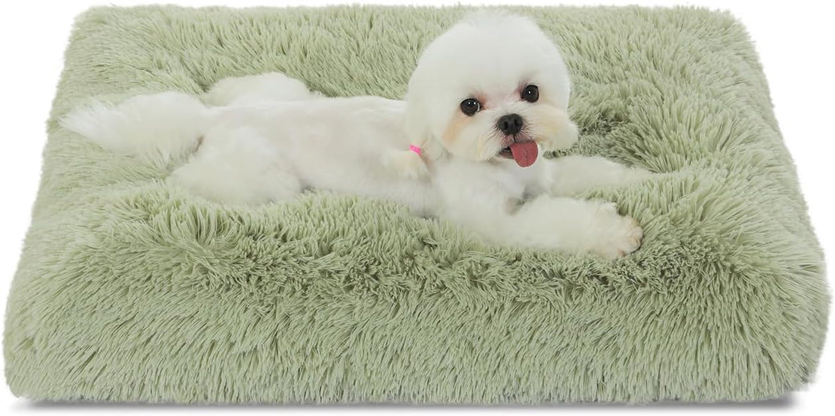 Bedfolks Waterproof Dog Crate Bed, Plush Small Dog Pad, 23"X18", Sage Green