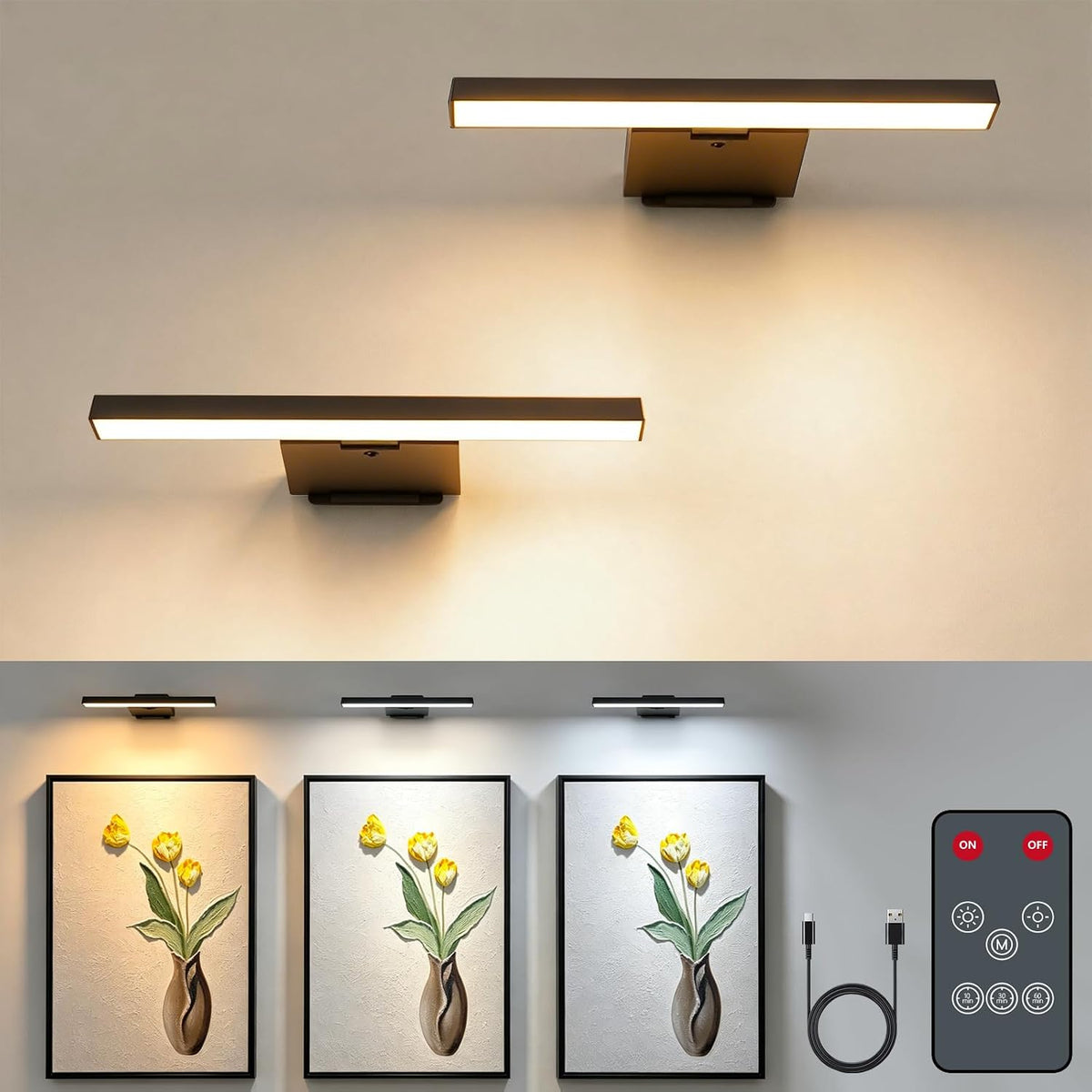 Picture Lights for Wall, Battery Operated Wall Sconce with Remote
