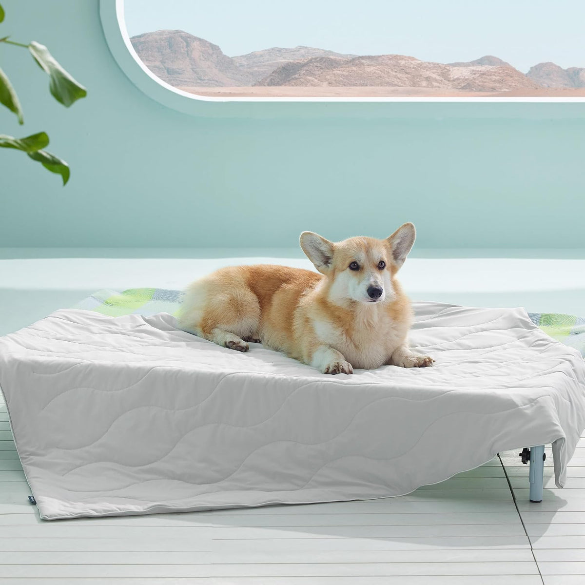 Bedsure Arcticmax™ Q-MAX>0.5 Premium Cooling Blanket for Large Dogs,40X50”