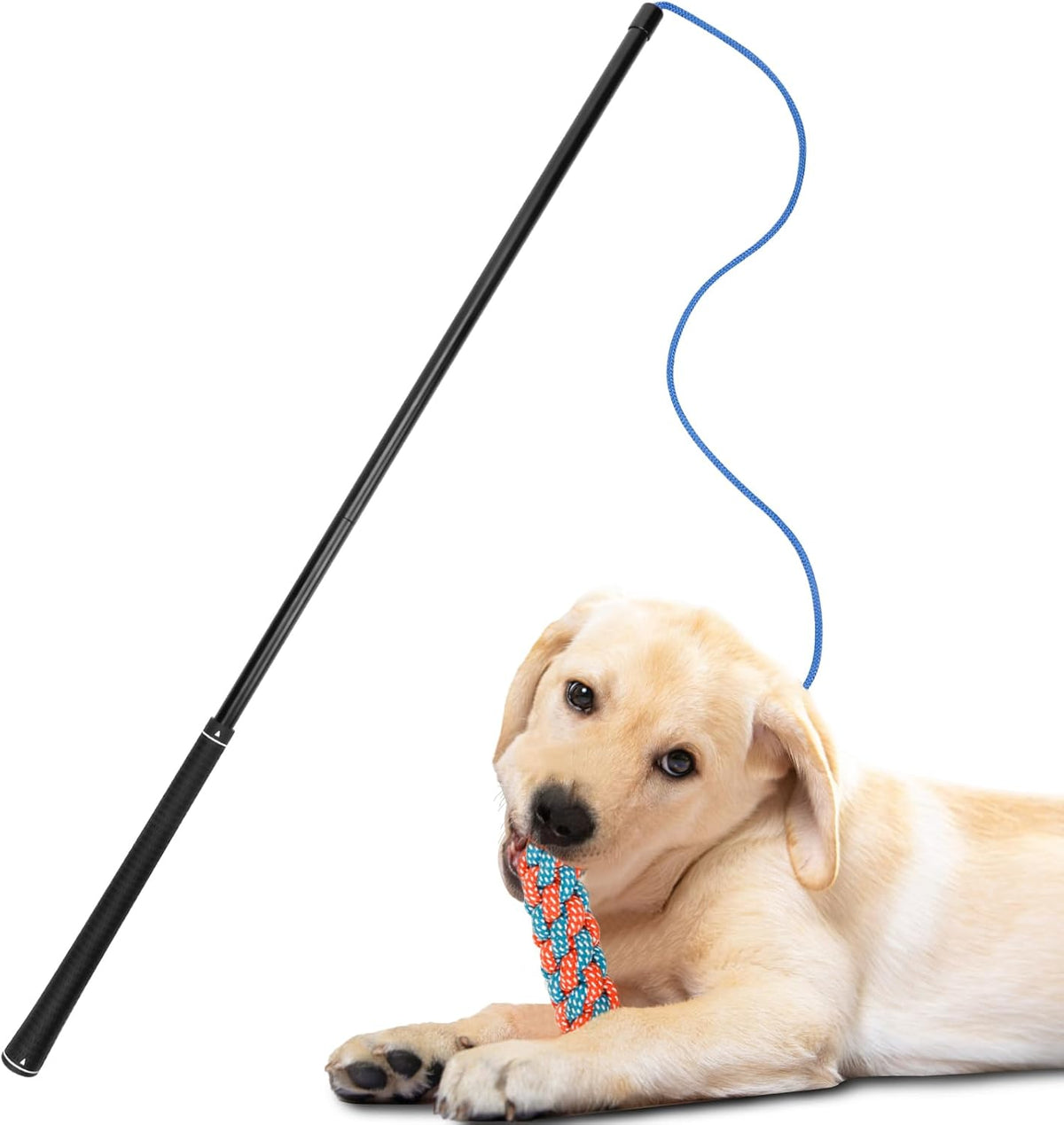 Flirt Pole Dogs Interactive Dog Toys for LargeăMedium and Small Dogs for ChasingăTug of War, Dog Chew Toys with Springs for Outdoor Exercise and Training