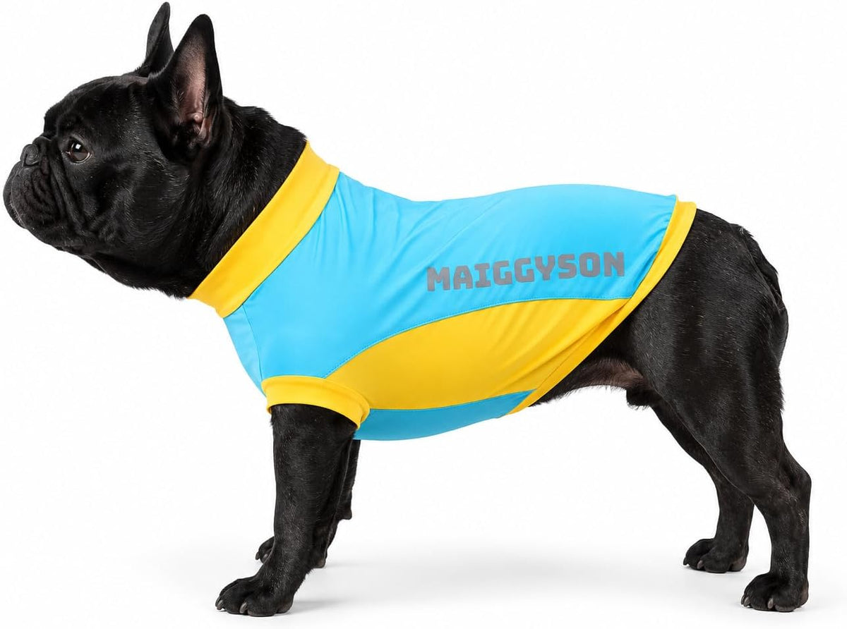French Bulldog Cooling Vest,Summer Cooling & Quick-Dry Shirt for English Bulldog, Frenchie, Pug, Boston Terrier and Pitbul,2-Leg UPF 50+ Fit for Frenchies (Blue&Yellow, XXL)
