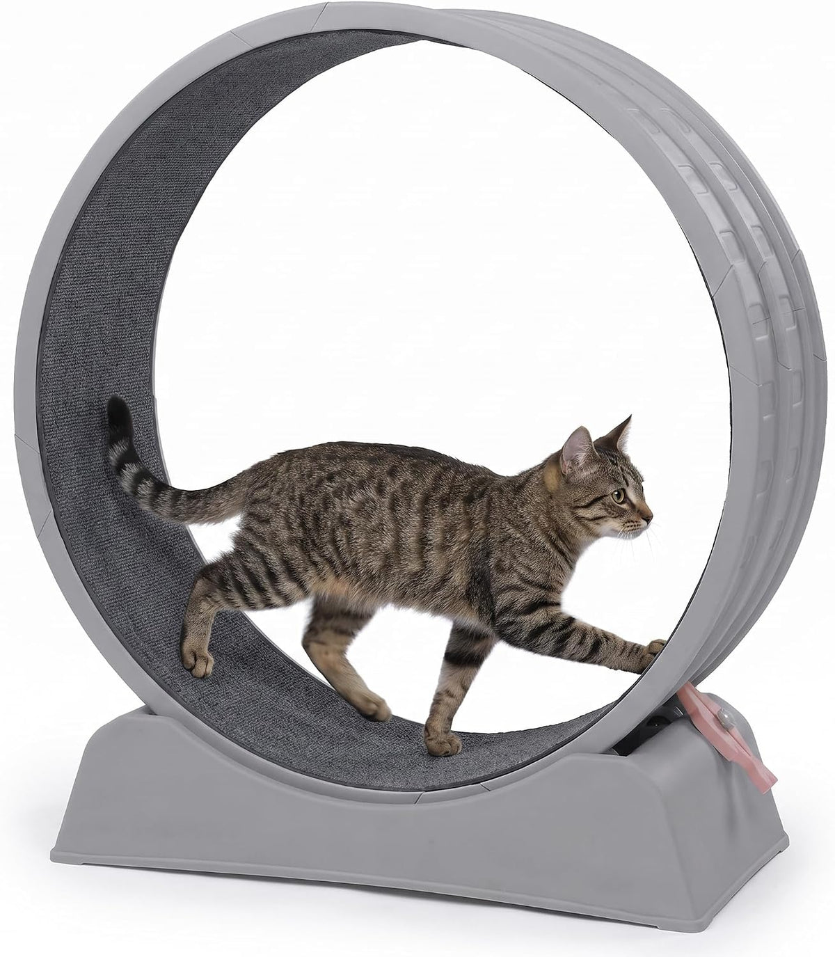 31.5" Cat Exercise Wheel, Silent Cat Treadmill with Safety Lock