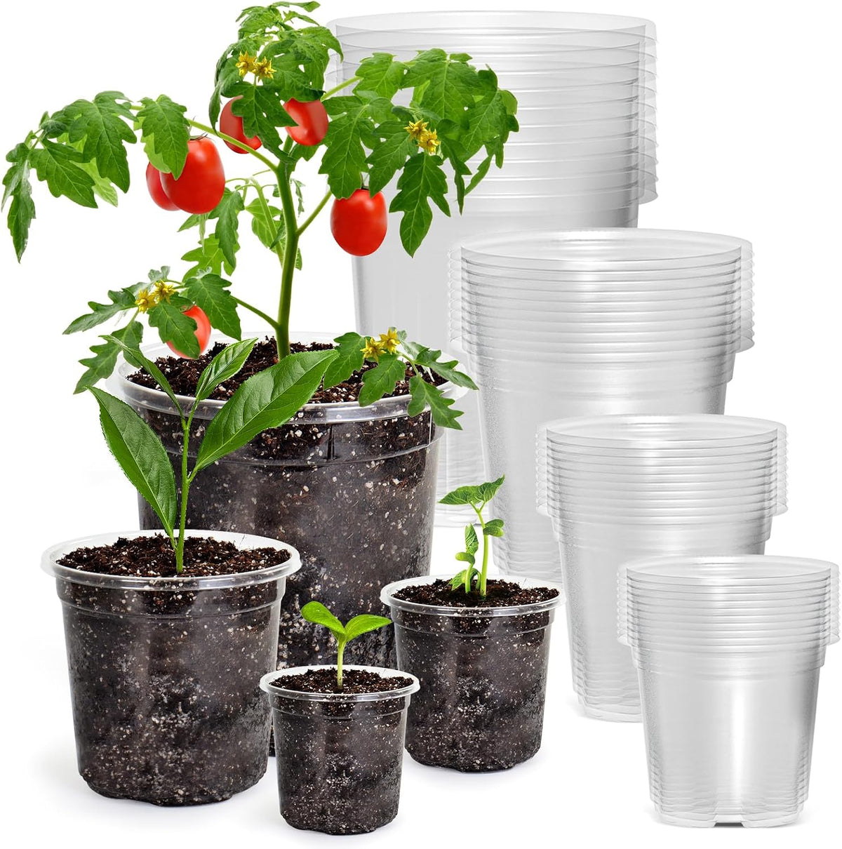 Bluepro Clear Nursery Pots with Drainage Holes, 3.5/4/5/7 Inch, 36-Pack