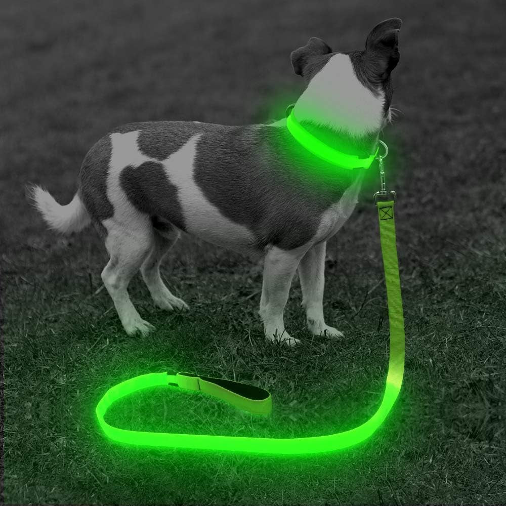 BSEEN Light up Dog Leash - Nylon LED Dog Leash Rechargeable, Glowing Dog Lead with Padded Handle, Safety Dog Lights for Night Walking (4Ft, Neon Green)