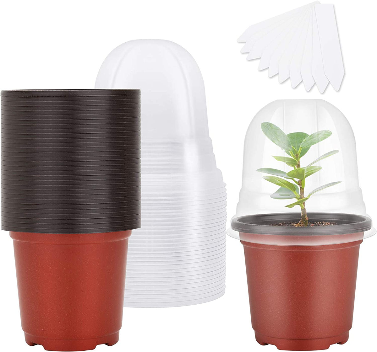 MIXC Nursery Pots with Humidity Dome, 4" Seed Starting Pot 30 Pack, Red