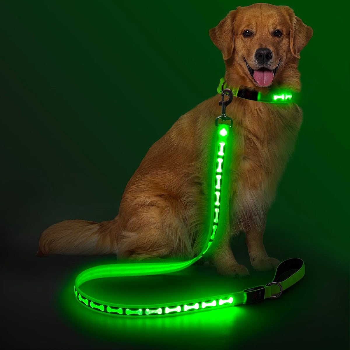 Flashseen Light up Dog Leash, 4FT LED Dog Leash, Type-C Rechargeable, Green