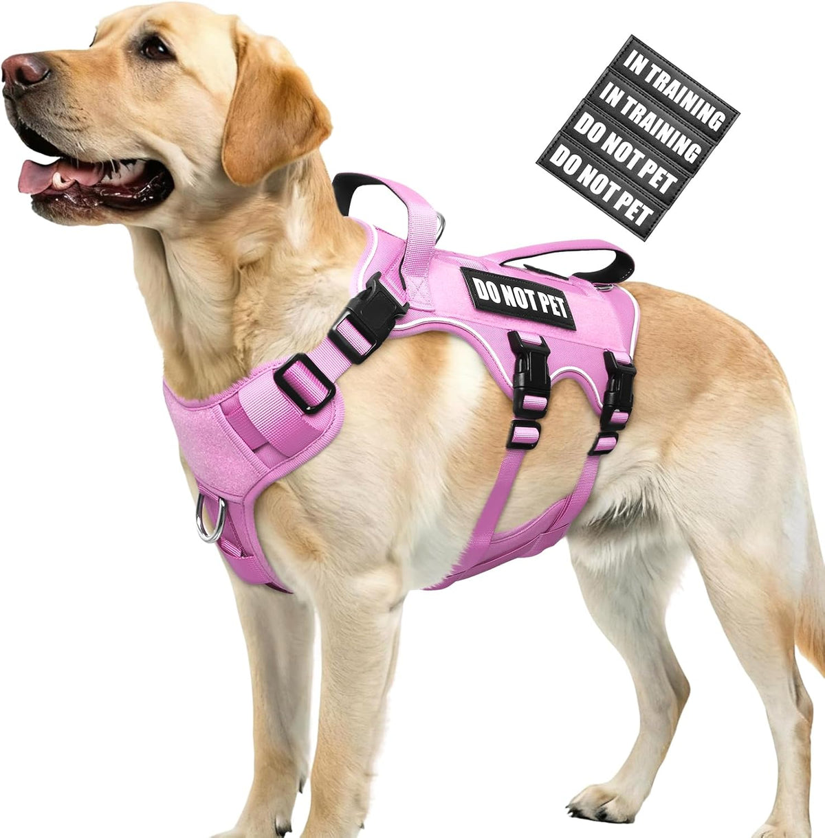 WINSEE Escape Proof Dog Harness with Double Handle+4 Removable Patches