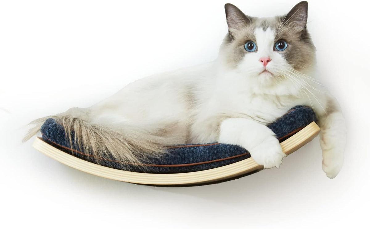 Cat Shelf with Comfortable Cushion - Curved Cat Shelves and Perches for Wall (Medium Size) - Wall Mounted Cats Furniture for Sleeping, Playing, Climbing, and Lounging