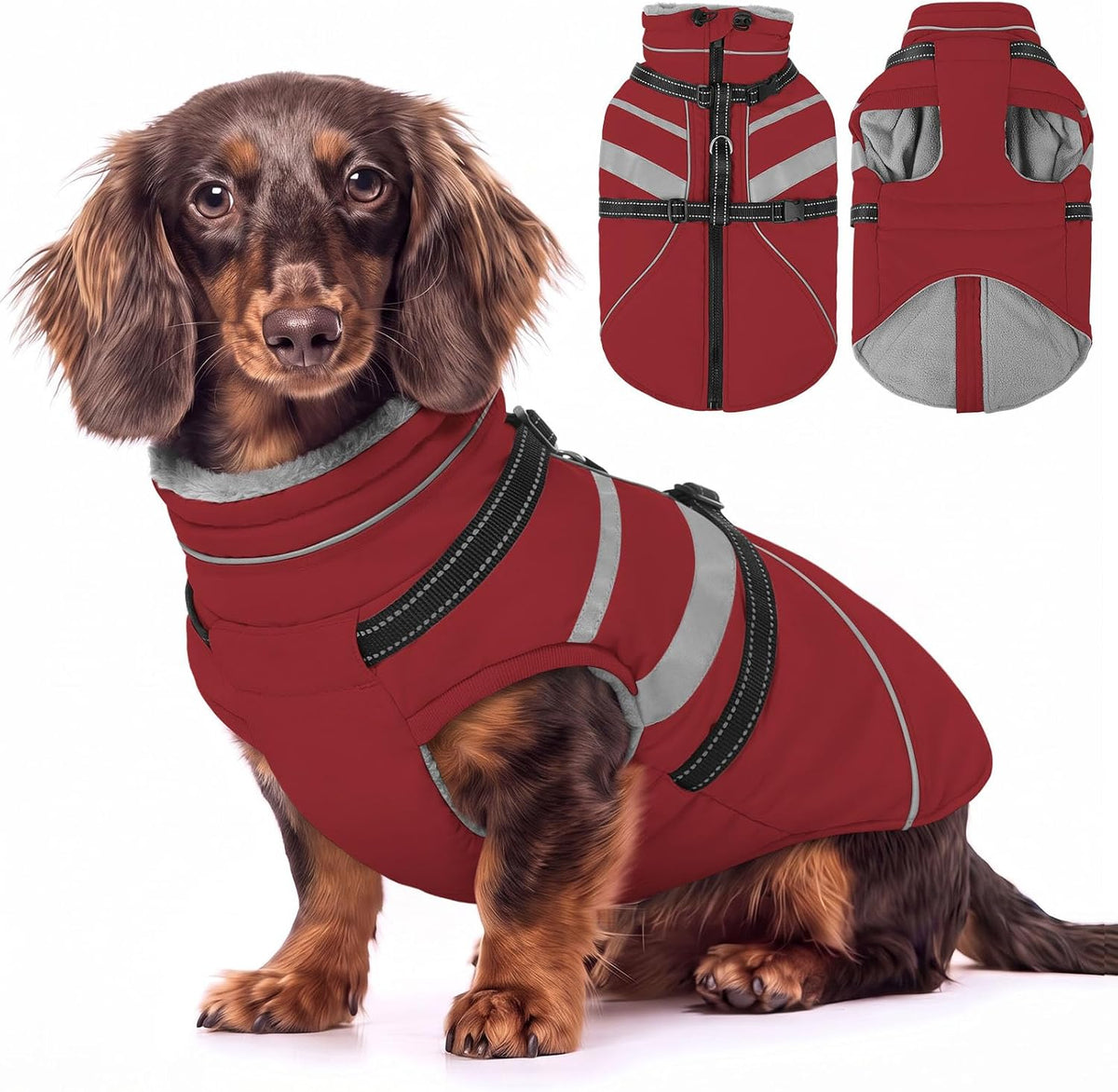 Small Dog Jacket, Dog Coat with Harness Built In