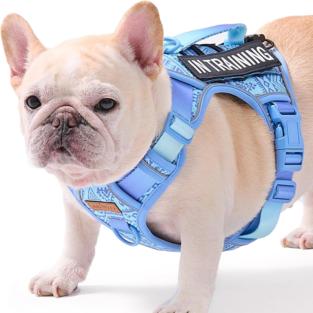 Light Dog Harness for Small Dog Breeds, French Bulldog Puggle Terriers, No-Pull Pet Harness with 2 Leash Clips, Adjustable Soft Padded Dog Vest, Reflective No-Choke Pet Oxford Vest, Blue, Small