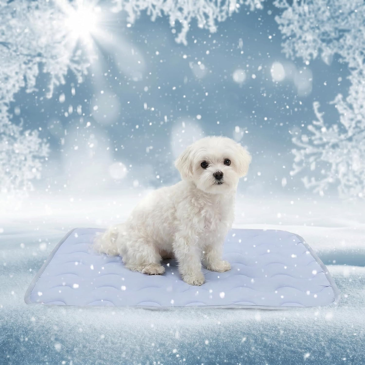NAMOTEK Washable Dog Cooling Mat Ice Silk Cool Mat for Pet Self Comfortable Blanket Dog Pad