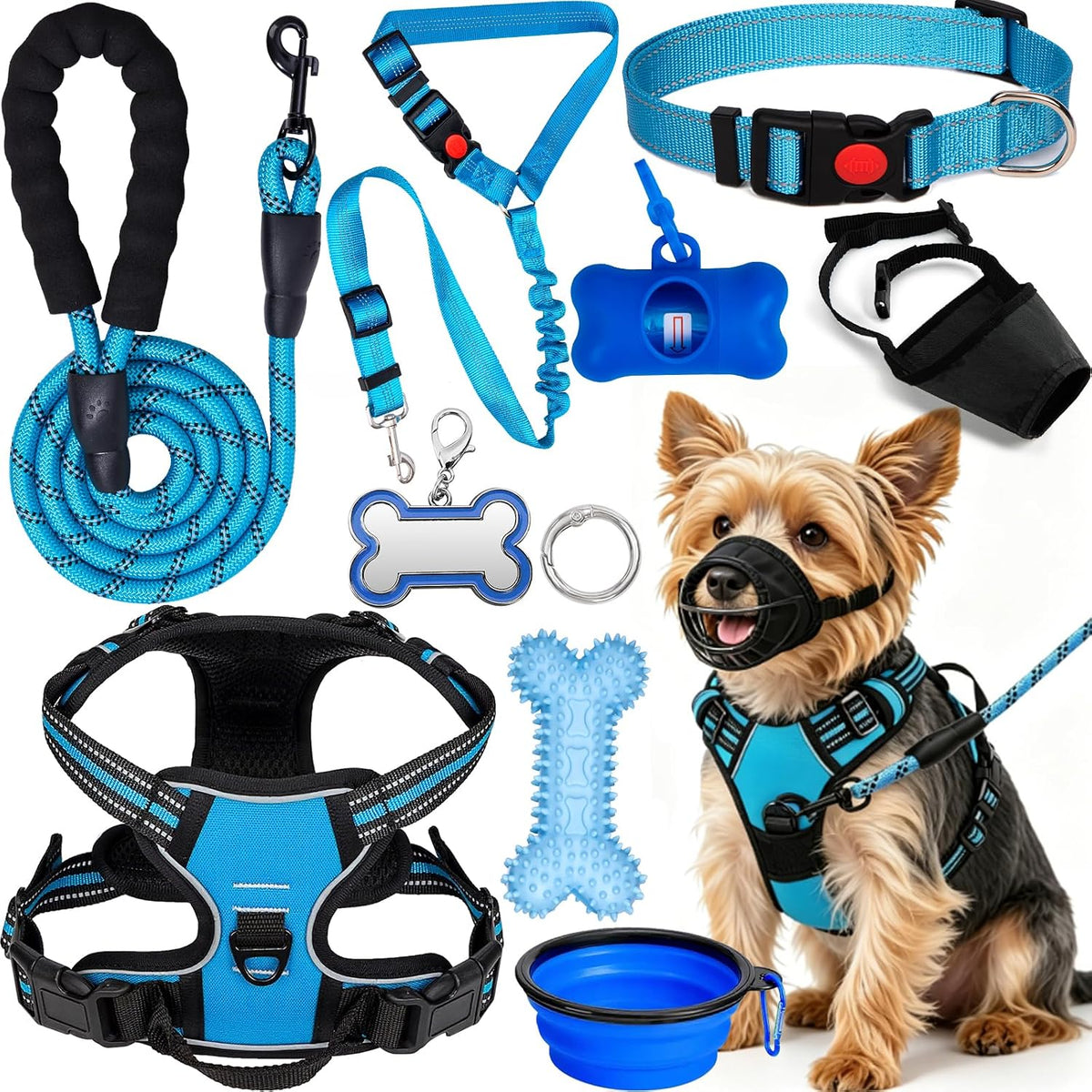 Dog Harness Collar and Leash Set - Dog Halter Harnesses Fits Puppies Small Dogs (Blue-S)