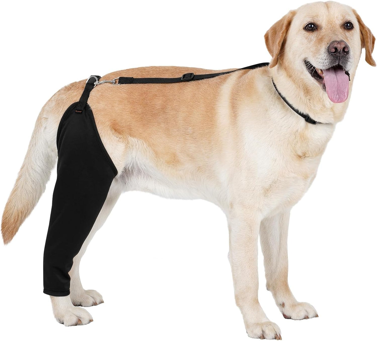 BARKLESS Single Dog Rear Leg Sleeve to Stop Licking, Suit for Post Surgery