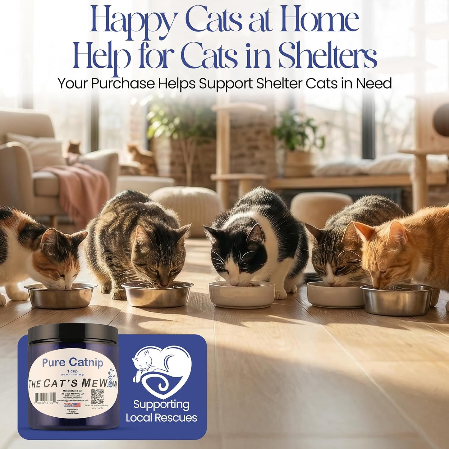 The Cat'S Mewow 100% Pure Catnip – North American Grown – Strong Aroma for Play & Enrichment – Resealable Freshness Jar – Veteran-Owned Brand