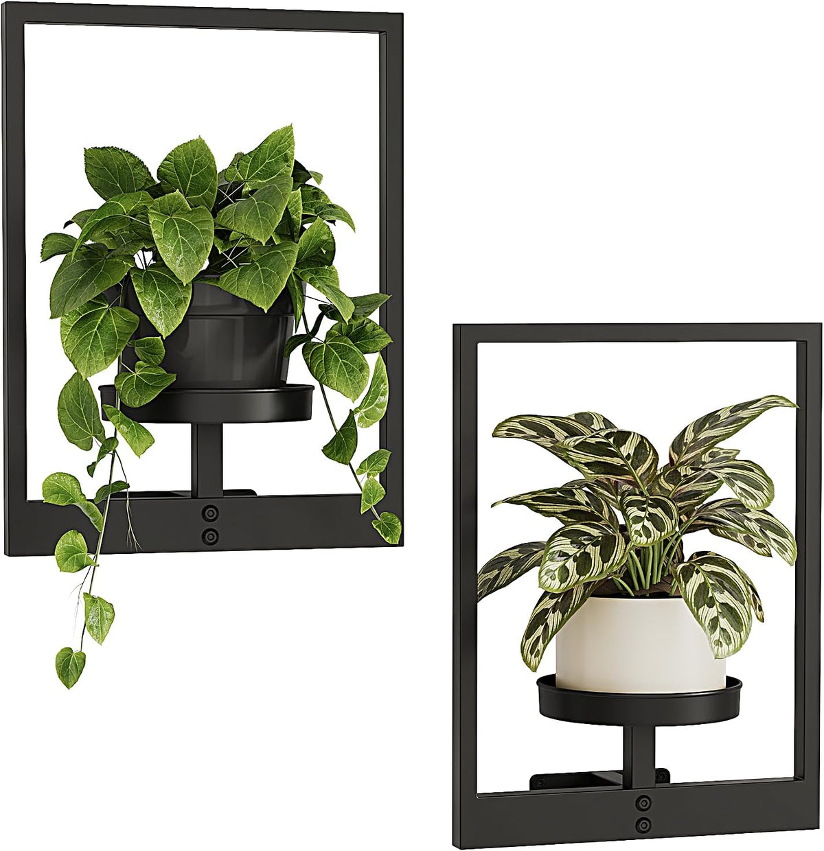 Bamworld Wall Plant Holder Plant Stand Indoor Wall Planters Black