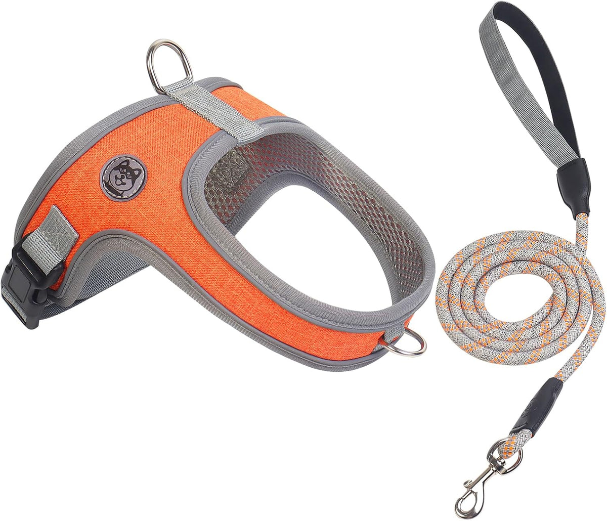 No Pull Dog Harness and Leash Set, Over-The-Head Vest, Orange, Large